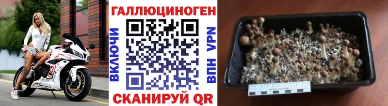 Галлюциногенные грибы мухоморы магазин продажи наркотиков Высоковск